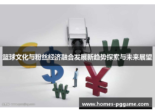 篮球文化与粉丝经济融合发展新趋势探索与未来展望