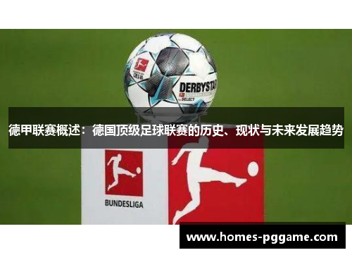 德甲联赛概述：德国顶级足球联赛的历史、现状与未来发展趋势