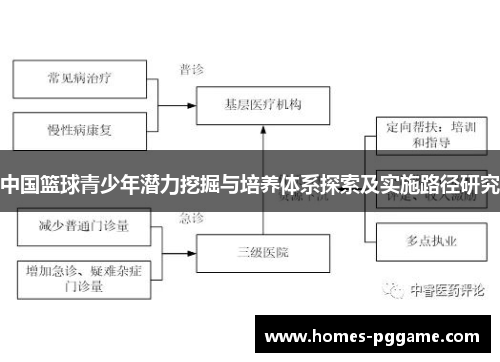 中国篮球青少年潜力挖掘与培养体系探索及实施路径研究