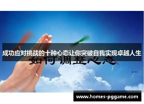 成功应对挑战的十种心态让你突破自我实现卓越人生 成功应对挑战的十种心态让你突破自我实现卓越人生