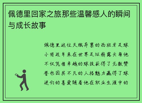 佩德里回家之旅那些温馨感人的瞬间与成长故事