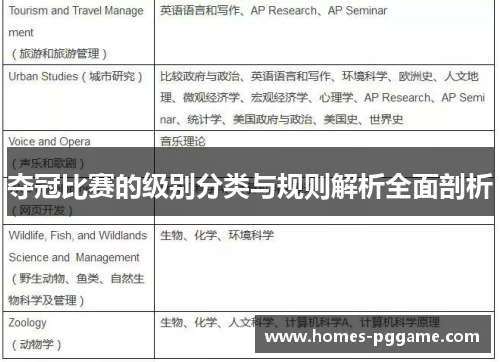 夺冠比赛的级别分类与规则解析全面剖析