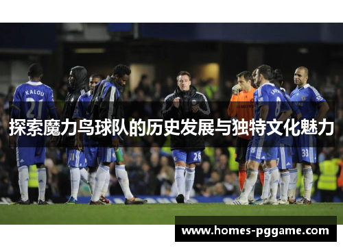 探索魔力鸟球队的历史发展与独特文化魅力