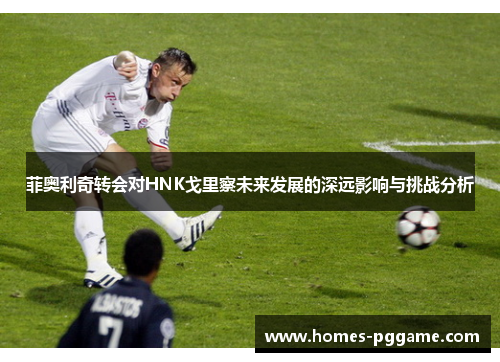 菲奥利奇转会对HNK戈里察未来发展的深远影响与挑战分析