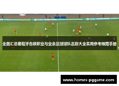 全面汇总葡萄牙各级职业与业余足球球队名称大全实用参考指南手册