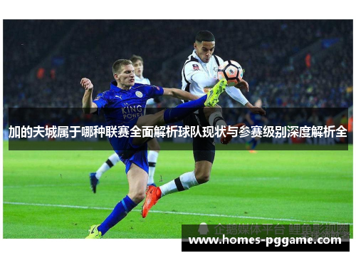 加的夫城属于哪种联赛全面解析球队现状与参赛级别深度解析全