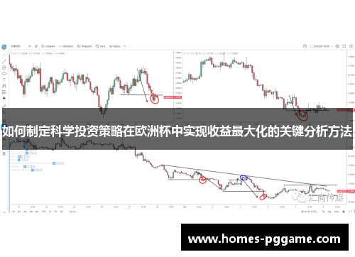如何制定科学投资策略在欧洲杯中实现收益最大化的关键分析方法