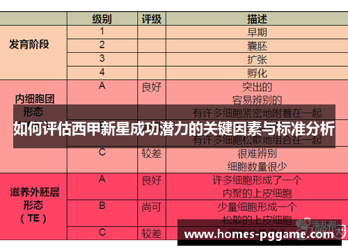 如何评估西甲新星成功潜力的关键因素与标准分析