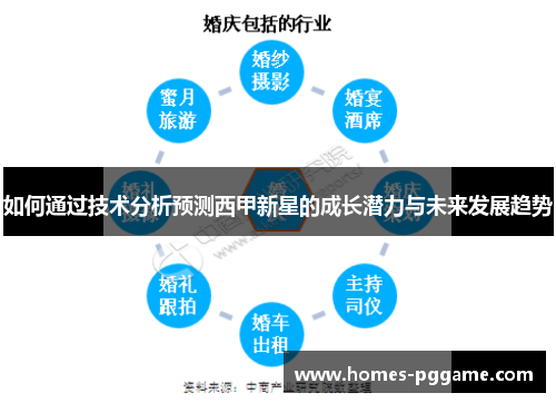 如何通过技术分析预测西甲新星的成长潜力与未来发展趋势